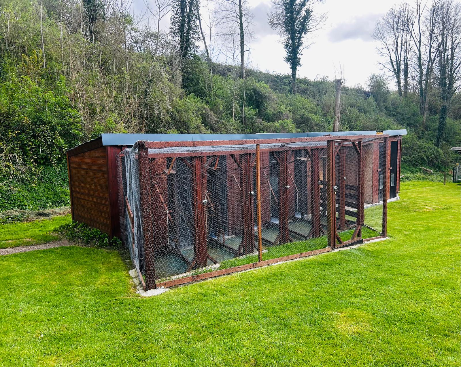 Vue d'ensemble des enclos de la pension Au Royal Félin à Setques dans le Pas-de-Calais