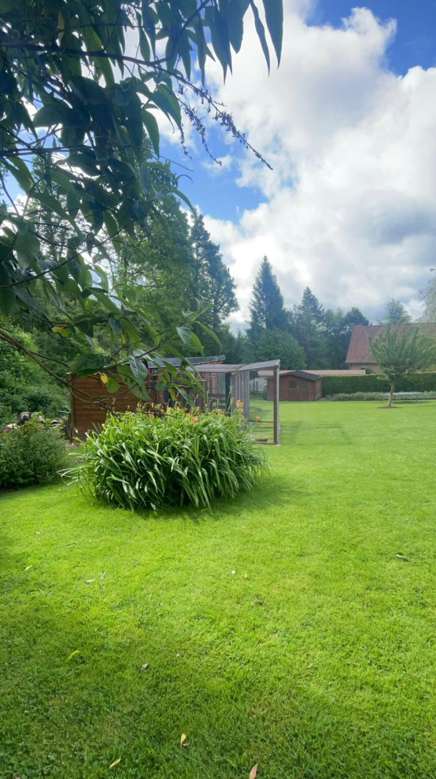 Jardin verdoyant et enclos de la pension Au Royal Félin à Setques